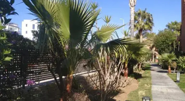 Casares Unmissable Doña Julia 2 bedrooms, 2 terraces incredible sea and golf course view