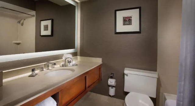 Номер DoubleTree by Hilton Chicago - Oak Brook