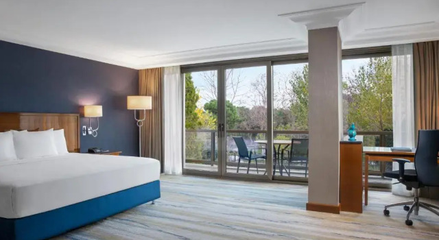 Двухместный номер Deluxe с видом на сад Hilton Istanbul Bosphorus