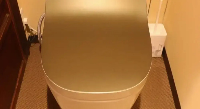 Номер Premium The Kagaya Kyoto Japanese Style Inn