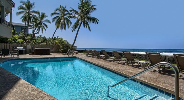Banyan Tree 200 by RedAwning