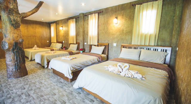 Семейный номер Standard Timberland and Fruit Resort