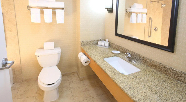 Двухместный номер Standard Holiday Inn Express Hotel & Suites CD. Juarez - Las Misiones by IHG