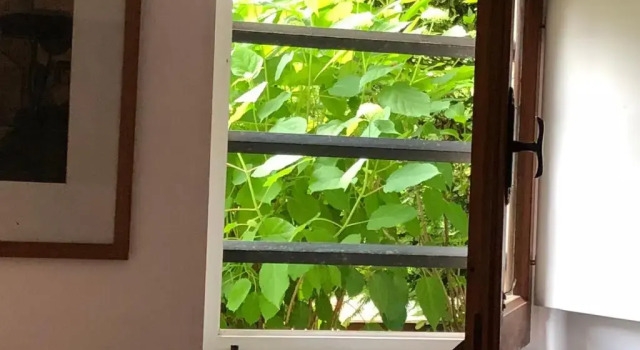 Standard Kahden hengen huone puutarhanäkymä A o Soâ B&B