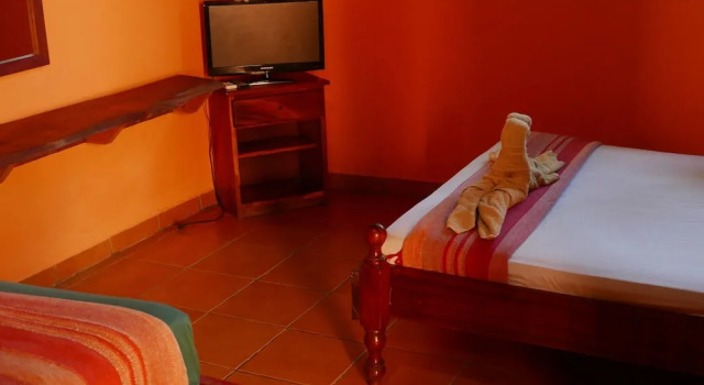 Номер Standard Pension Playa Samara