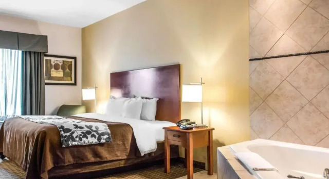 Люкс Sleep Inn & Suites Pooler - Savannah Area