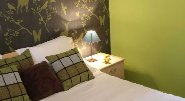 Одноместный номер Deluxe с балконом B&B Hippo-Droom