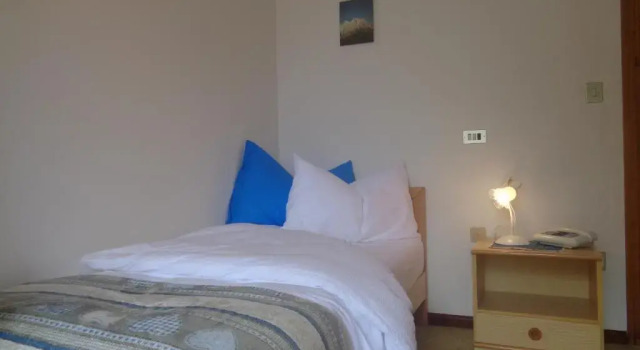 Одноместный номер Standard Hotel Garni Suisse