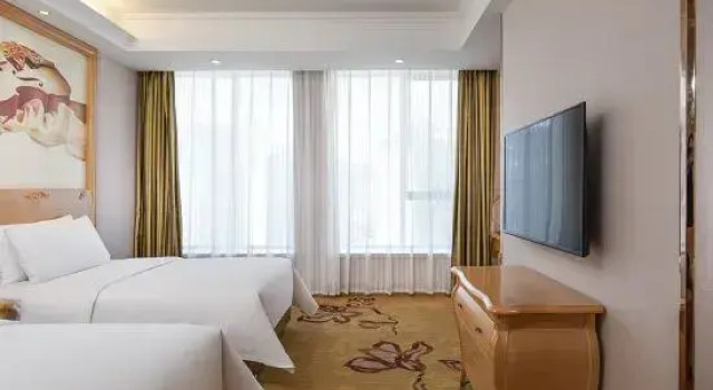 Люкс Business Vienna Hotel (Dingxi High Speed Railway Wanda Plaza)