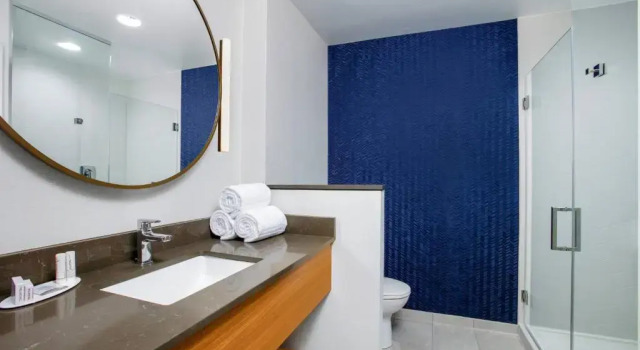 Люкс Fairfield by Marriott Inn & Suites Harrisburg West/Mechanicsburg