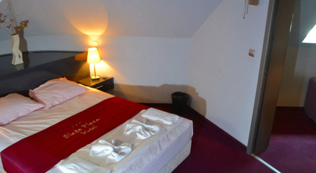 Elate Plaza Business Hotel
