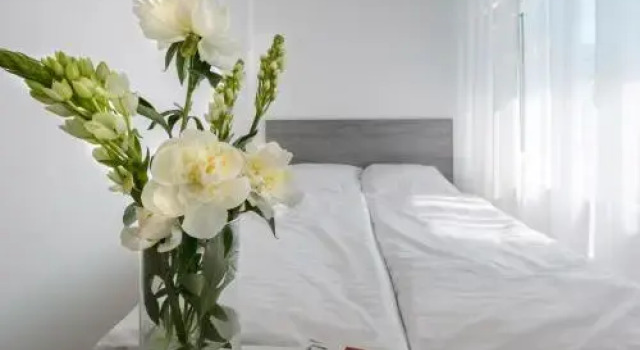 Villa Rosa, Book Villa Sommerhuse i Wolin Island, Hytte