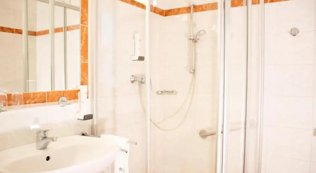 Одноместный номер Standard Landhotel Post Ebensee am Traunsee ***S