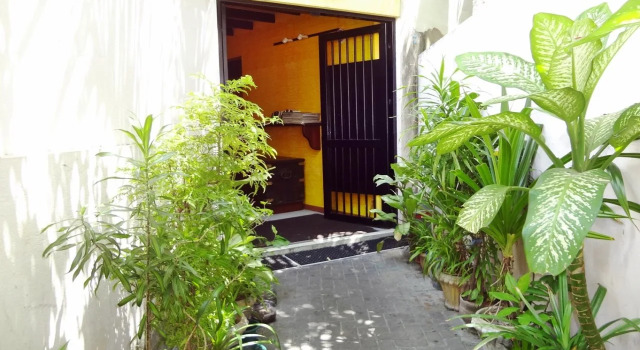The Park House
