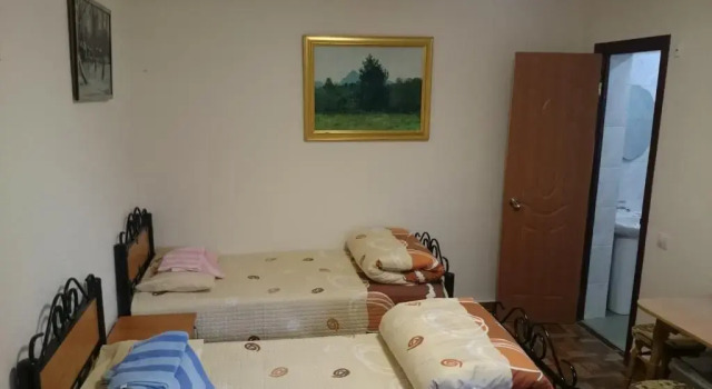 Трёхместный номер Economy с красивым видом из окна Art Hotel Al Hayat
