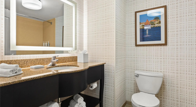 Четырёхместный номер Standard Hampton Inn & Suites Port Richey