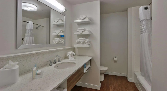 Двухместный номер Standard Hampton Inn & Suites Las Cruces I-10, Nm