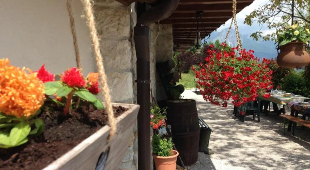 Agriturismo Dagai, Prenota Hotel Sospirolo Dolomiti