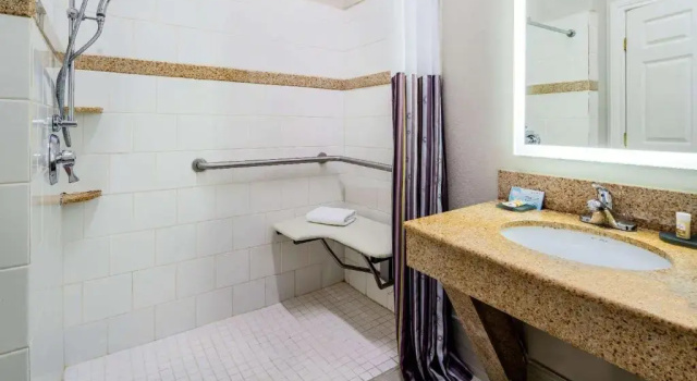 Номер Standard La Quinta Inn & Suites by Wyndham Alamo - McAllen East