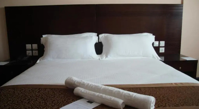 Одноместный номер Standard Central Hotel Tana