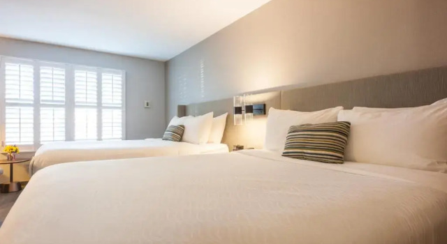 Четырёхместный номер Standard Hotel Indigo Napa Valley by IHG