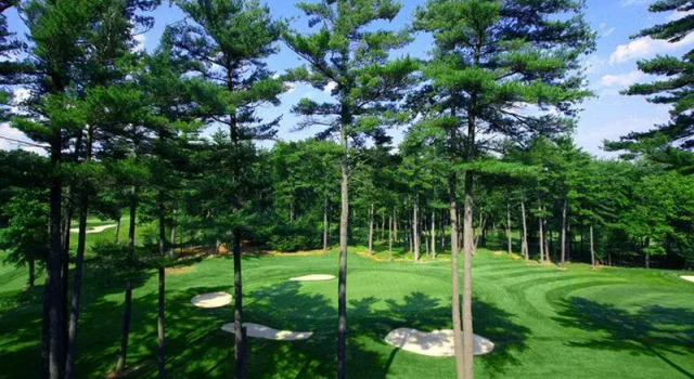 Номер Deluxe Toftrees Golf Resort