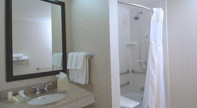 Двухместный люкс c 1 комнатой Hilton Garden Inn Rockford