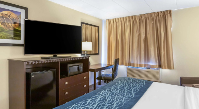 Двухместный номер Standard Comfort Inn Grand Rapids Airport