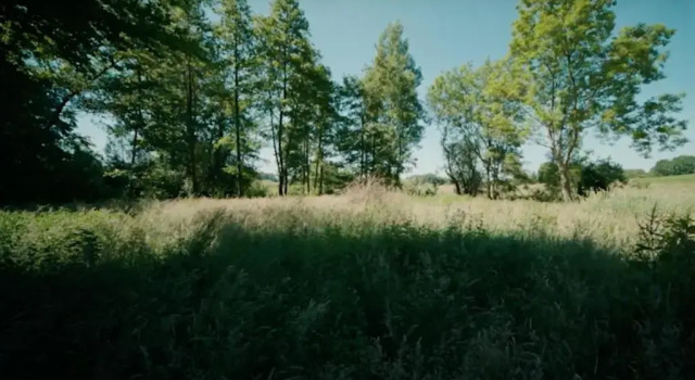 Wassermühle Stenten, จอง อพาร์ทเมนท์ ฮอลส์บูนเก Schleswig-Holstein