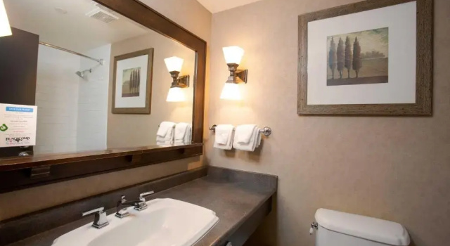Номер Comfort Blackcomb Lodge