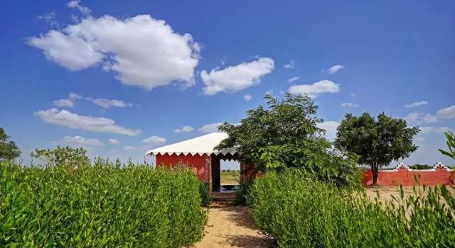 Treebo Desert Harmony Camp, Book Hotel Kanoi Rajasthan