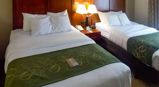 Двухместный номер Standard Comfort Suites Inn at Ridgewood Farm