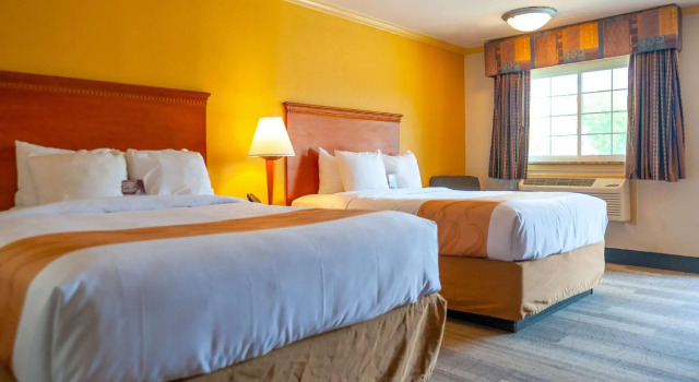 Четырёхместный номер Standard Hibiscus Inn & Suites