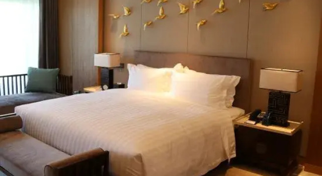 Люкс Superior Hot Springs ZhuoRun International Hotel