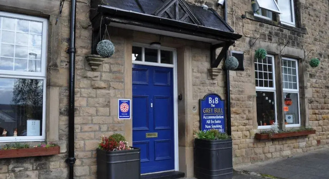 The Grey Bull B & B