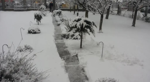 Pensiunea Coca, Prenota Hotel Baile Felix Bihor