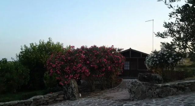 Бунгало Agriturismo Su Recreu