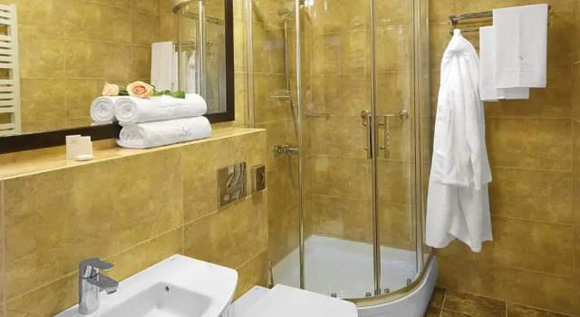 Номер Standard Hotel Senator
