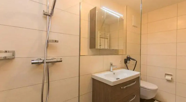Студия Appartment Hotel Mitterer