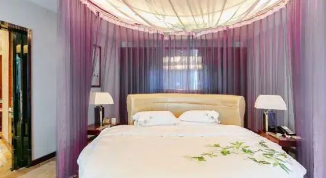 Люкс с видом на город Xinxing Century Hotel