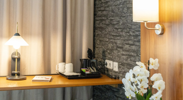 Одноместный номер Standard PLAZA INN Zwickau