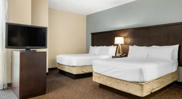 Четырёхместный номер Standard c 1 комнатой Staybridge Suites St. Petersburg FL by IHG