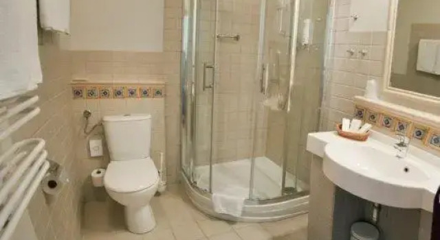 Номер Standard Hotel Zubrówka Bialowieza