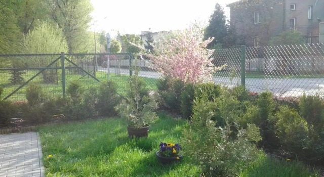 Семейный номер Standard Villa Green