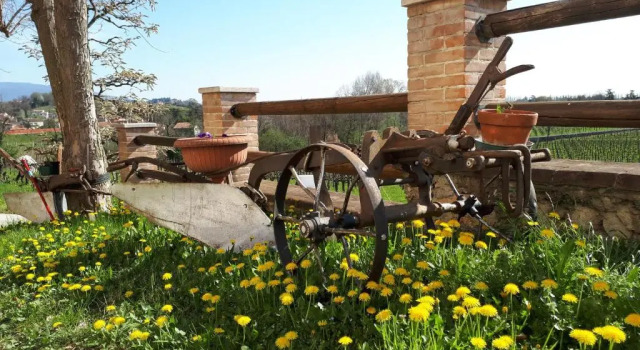 Terre Boscaratto, Book Hotel Hotels in Susegana with Parking, Parking