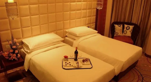 Одноместный номер Deluxe The Metropolitan Hotel & Spa New Delhi