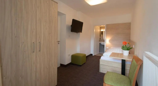 Одноместный номер Standard с видом на горы Hotel Stifter