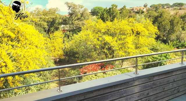 Studio 4 pers Cala Sultana accès à pied à la plage Santa Giulia, Varaa Huoneisto Porto-Vecchio 
