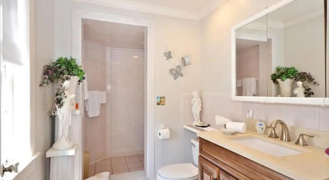Номер Standard с красивым видом из окна Sabal Palm House Bed and Breakfast