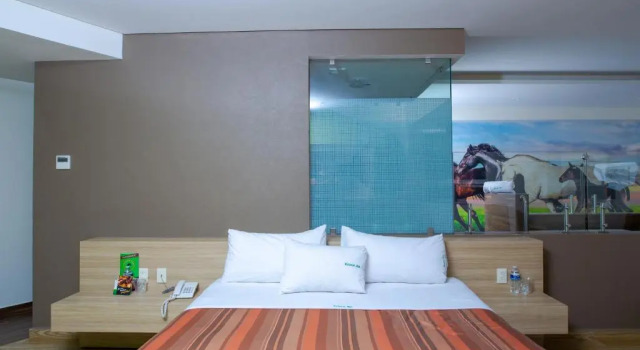 Suite Hotel Xcoco Inn